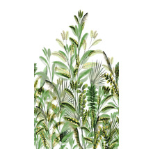 Illustratie van diverse groene planten