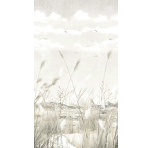 Behang met grassen, lucht en vogels