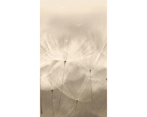 GRANDECO Fotobehang vlies 203801 Others paardenbloem 159x280 cm Close-up van paardenbloempluis