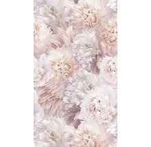 Close-up van pioenrozenbloemen