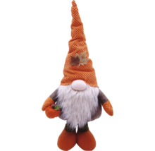Herfstkabouter met muts, baard en pompoen