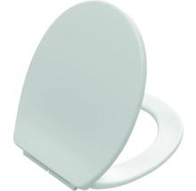 Toiletdeksel van kunststof