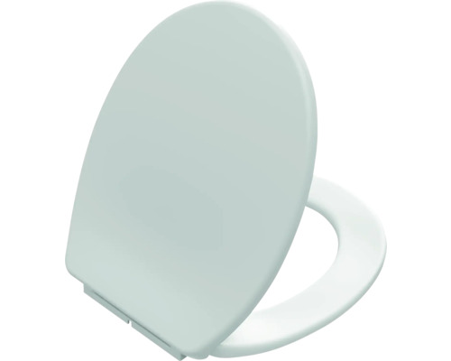 Toiletdeksel van kunststof