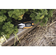 Fiskars kruidenschaar naast verse peterselie op een houten plank