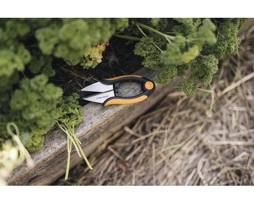 Fiskars kruidenschaar naast verse peterselie op een houten plank