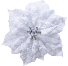 Poinsettia ter decoratie
