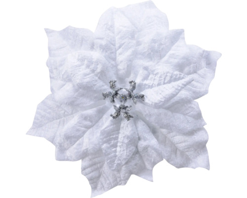 Poinsettia ter decoratie