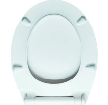 Toiletbril van bovenaf