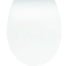 Toiletdeksel van kunststof