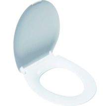 Toiletdeksel van kunststof