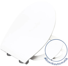 Toiletdeksel met softclosemechanisme