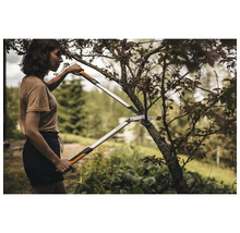 Vrouw snoeit boom met een takkenschaar met hefboomwerking