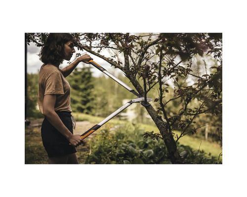 Vrouw snoeit boom met een takkenschaar met hefboomwerking