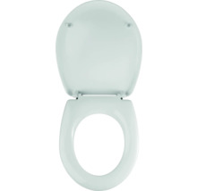 Geopende toiletbril van kunststof