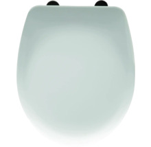 Toiletdeksel van sanitair keramiek