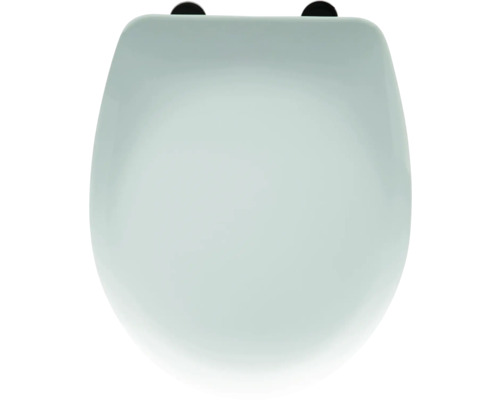 Toiletdeksel van sanitair keramiek