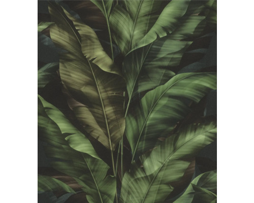 TESA RASCH Zelfklevend Behang 370034 natuur groen Behang met bladerpatroon voor wanddecoratie
