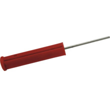 Slagplug met nagel