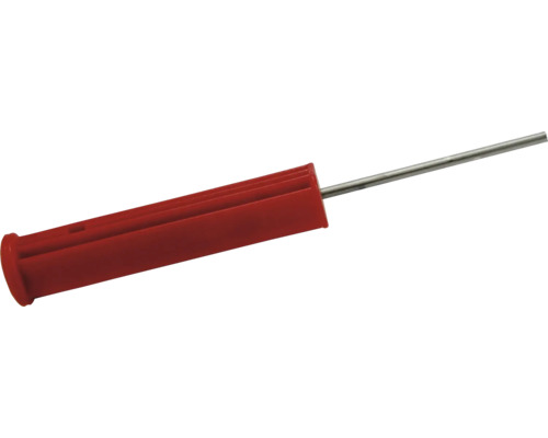 Slagplug met nagel
