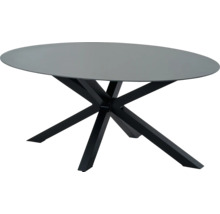 Ovale eettafel met zwart metalen onderstel