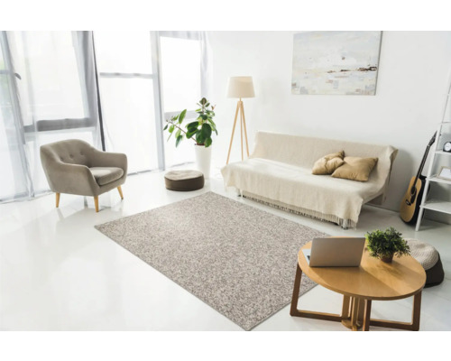 Woonkamer met vloerkleed, fauteuil, bank en salontafel in een lichte uitvoering