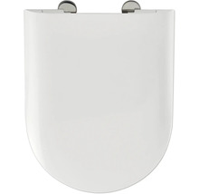 Toiletdeksel van sanitair keramiek