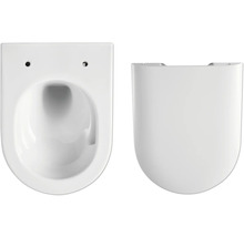 Wandcloset van sanitair keramiek met toiletzitting