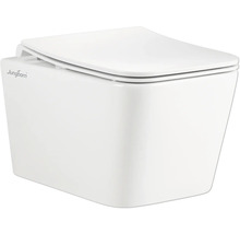 Wandcloset diepspoeltoilet van sanitair keramiek