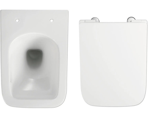 Wandcloset met diepspoeling en toiletdeksel