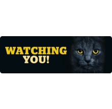 Illustratie met de tekst ''Watching You!'' en het gezicht van een kat