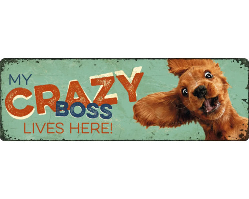 PLENTY GIFTS Metalen bord My crazy boss lives here 27x9 cm