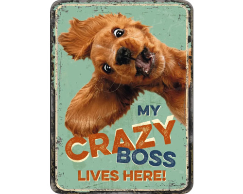 Metalen bord My crazy boss lives here! 5,6x7,6 cm