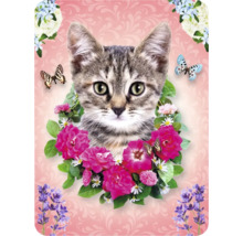Kat ontwerp met bloemen en vlinders