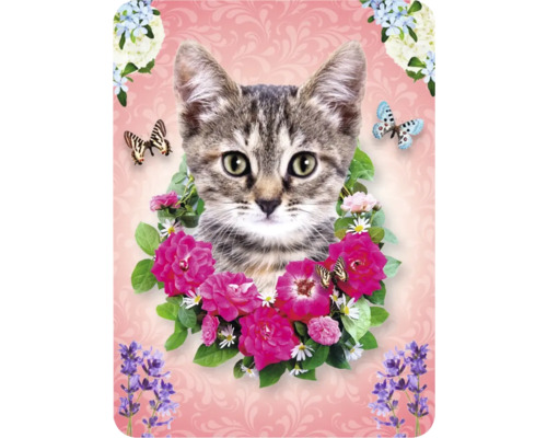 Kat ontwerp met bloemen en vlinders