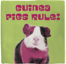 Decoratief kussen met de tekst: Cavia''s zijn geweldig en een afbeelding van een cavia