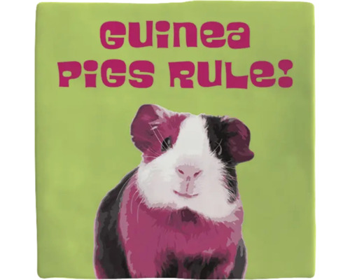 Decoratief kussen met de tekst: Cavia''s zijn geweldig en een afbeelding van een cavia