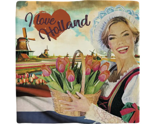Decoratief kussen met het motief Holland met tulpen en windmolens