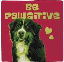 Decoratief kussen met hondenmotief en de tekst ''Be Pawsitive''