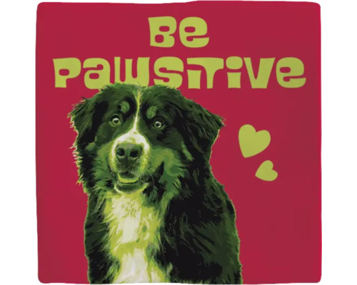 Decoratief kussen met hondenmotief en de tekst ''Be Pawsitive''