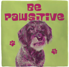 Kussen met de opdruk Wees Pawsitive en een hond