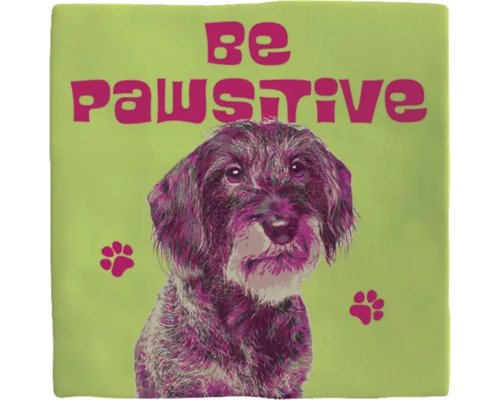Kussen met de opdruk Wees Pawsitive en een hond