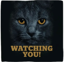 "Decoratief kussen met een kat en de tekst ""Watching You!"""