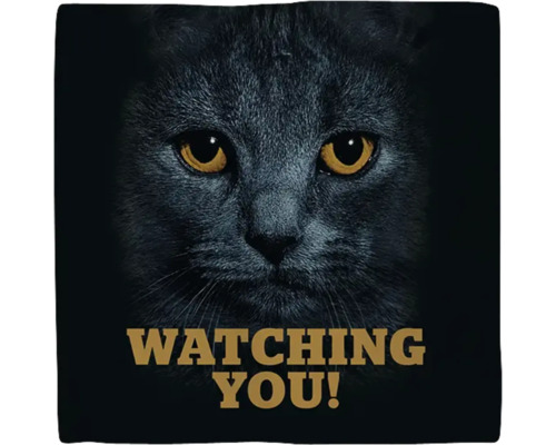 "Decoratief kussen met een kat en de tekst ""Watching You!"""
