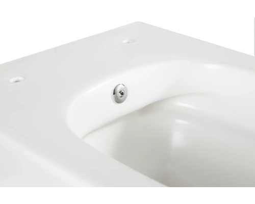 Gedetailleerd aanzicht van een wit toilet met spoelknop.