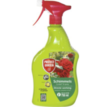 Protect Garden Curalia N Spray 750 ml voor schimmelbestrijding