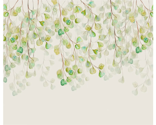 KOMAR Fotobehang vlies FLX6-044 Douche De Feuilles 300x250 cm Decoratief behang met eucalyptusbladeren