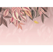 Illustratie van bladeren op een roze achtergrond.