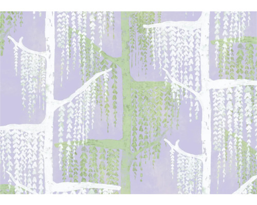 KOMAR Fotobehang vlies FLX7-026 Crazy Willow 350x250 cm Behang met wilgenboomdesign voor wanddecoratie