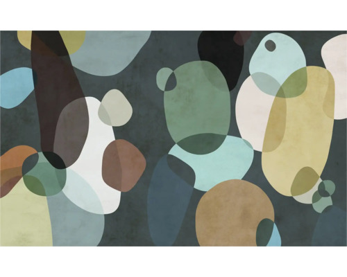 KOMAR Fotobehang vlies FLX8-005 Form Symbiotic 400x250 cm Abstract ontwerp met overlappende vormen