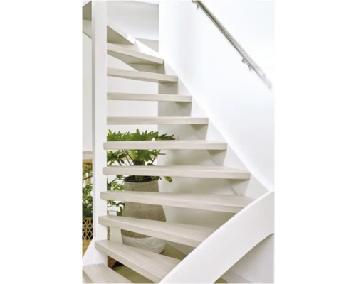 Houten trap met leuning en potplant